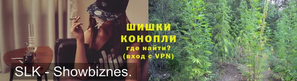 сатива Инта