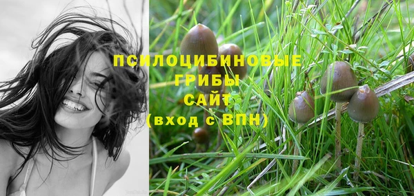 ГАЛЛЮЦИНОГЕННЫЕ ГРИБЫ Инсар