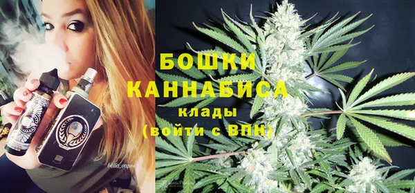 сатива Инта