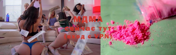 сатива Инта