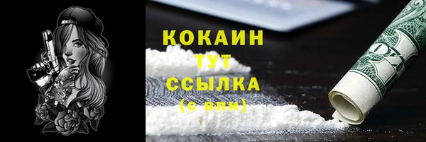 ГАЛЛЮЦИНОГЕННЫЕ ГРИБЫ Инсар
