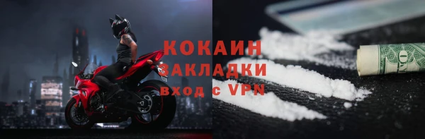 ГАЛЛЮЦИНОГЕННЫЕ ГРИБЫ Инсар