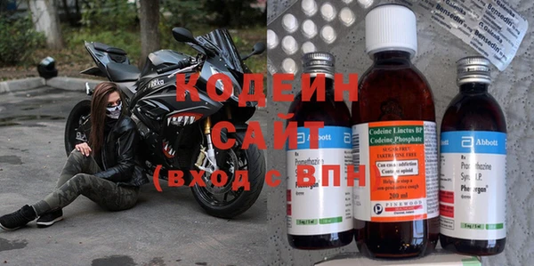 сатива Инта