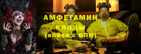 сатива Инта