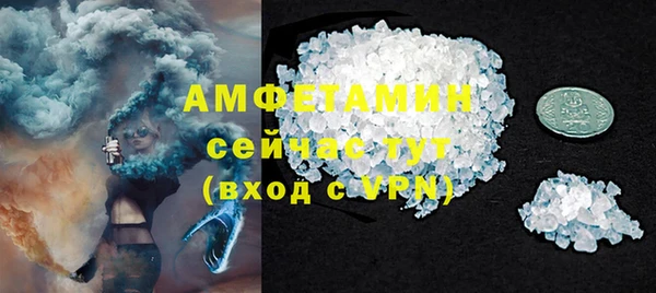 ГАЛЛЮЦИНОГЕННЫЕ ГРИБЫ Инсар
