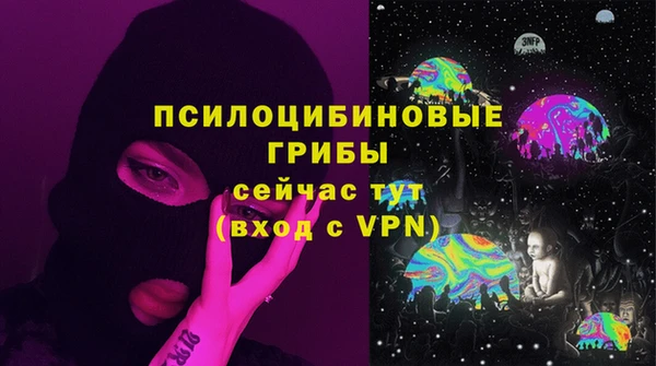 ГАЛЛЮЦИНОГЕННЫЕ ГРИБЫ Инсар