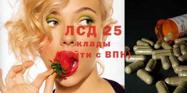 ГАЛЛЮЦИНОГЕННЫЕ ГРИБЫ Инсар