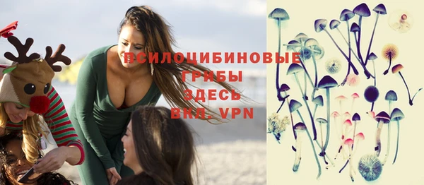 ГАЛЛЮЦИНОГЕННЫЕ ГРИБЫ Инсар