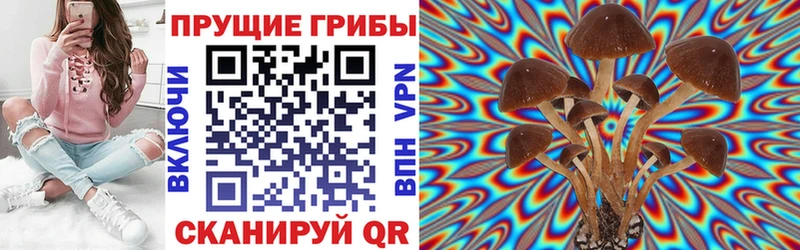 Псилоцибиновые грибы Magic Shrooms  Купить закладки  Ермолино 